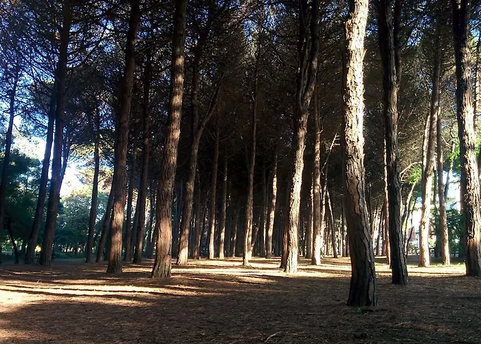 Hotel Lanzoni 3*