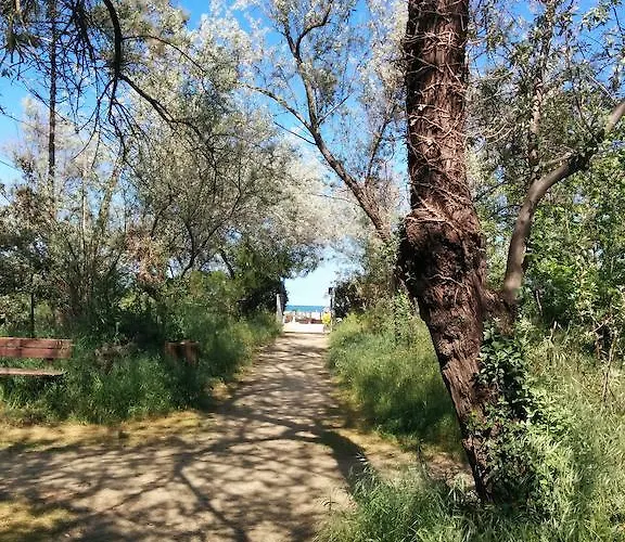 Lanzoni Cervia